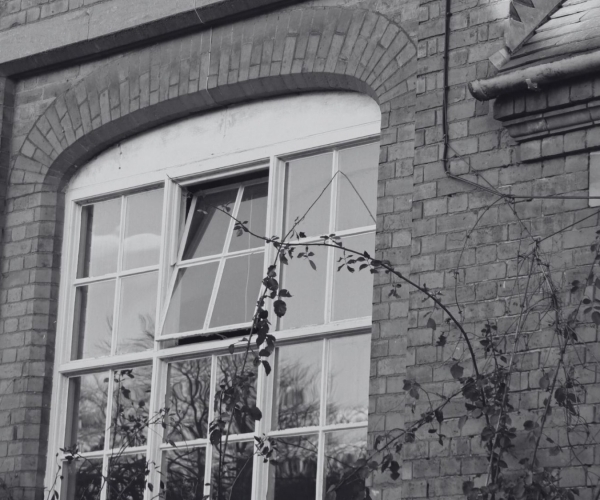 The Cotton Mews